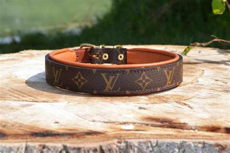 louis vuitton puppy|louis vuitton dog collar large.